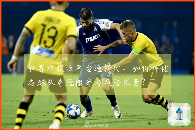 世界杯投注平台选择时，如何评估各球队夺冠概率与风险因素？