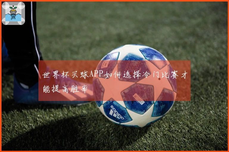 世界杯买球APP如何选择冷门比赛才能提高胜率