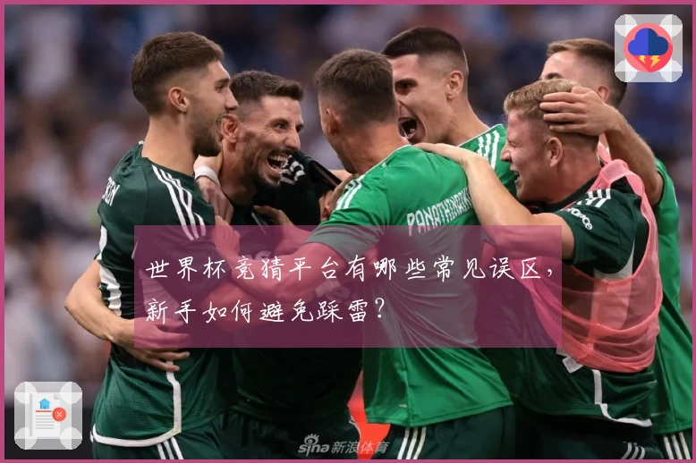 世界杯竞猜平台有哪些常见误区，新手如何避免踩雷？
