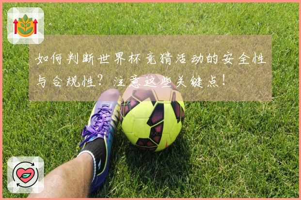 如何判断世界杯竞猜活动的安全性与合规性？注意这些关键点！