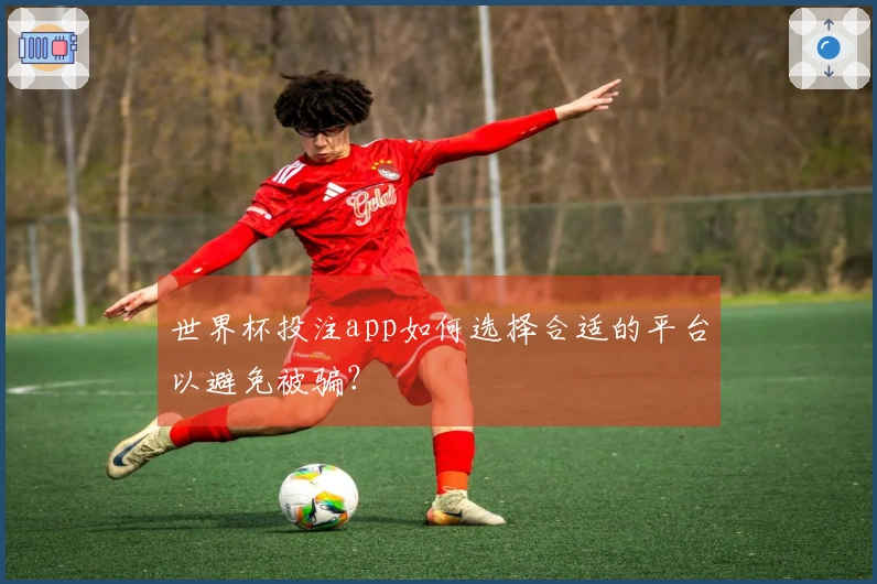 世界杯投注app如何选择合适的平台以避免被骗？