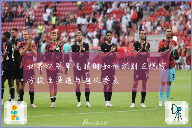 世界杯冠军竞猜时如何识别正规官方投注渠道与避坑要点