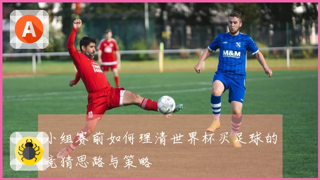 小组赛前如何理清世界杯买足球的竞猜思路与策略