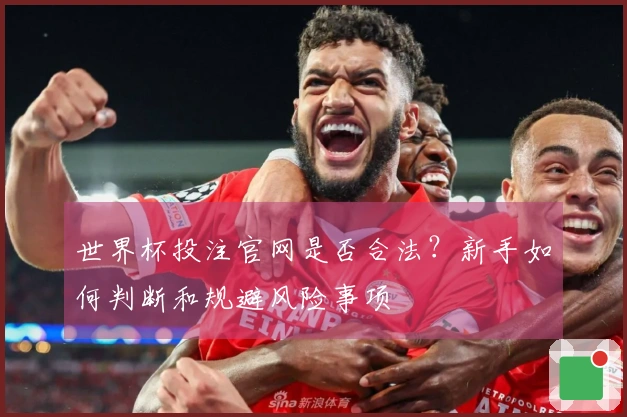 世界杯投注官网是否合法？新手如何判断和规避风险事项