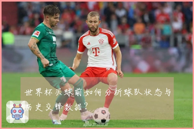 世界杯买球前如何分析球队状态与历史交锋数据？