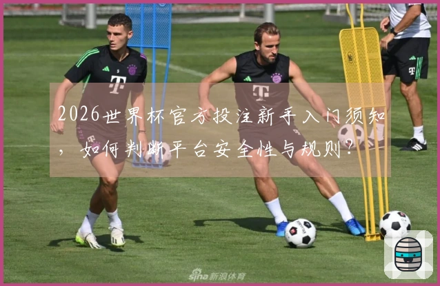 2026世界杯官方投注新手入门须知，如何判断平台安全性与规则？
