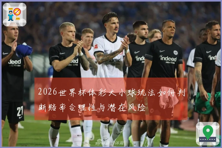 2026世界杯体彩大小球玩法如何判断赔率合理性与潜在风险
