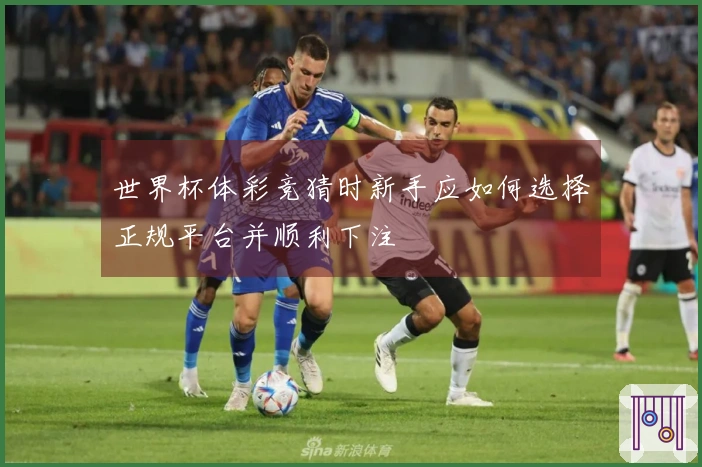 世界杯体彩竞猜时新手应如何选择正规平台并顺利下注