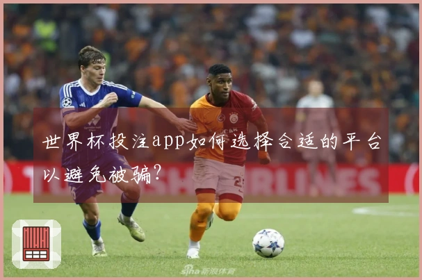 世界杯投注app如何选择合适的平台以避免被骗？
