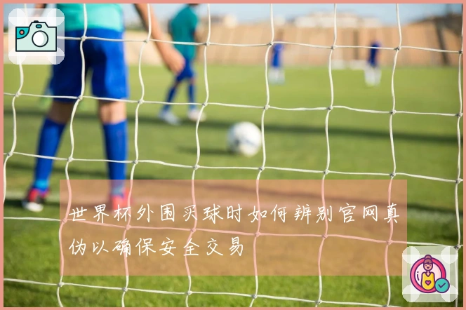 世界杯外围买球时如何辨别官网真伪以确保安全交易