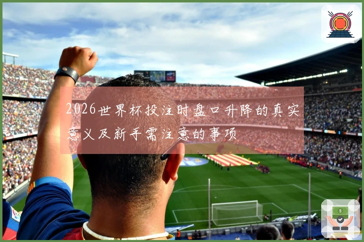 2026世界杯投注时盘口升降的真实意义及新手需注意的事项