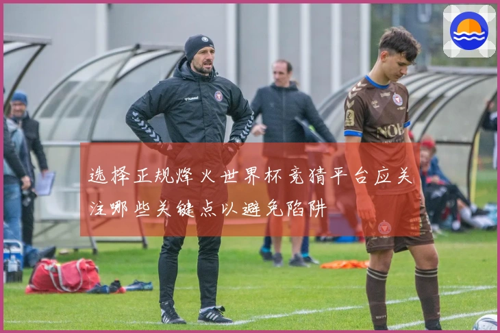 选择正规烽火世界杯竞猜平台应关注哪些关键点以避免陷阱