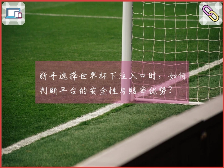 新手选择世界杯下注入口时，如何判断平台的安全性与赔率优势？