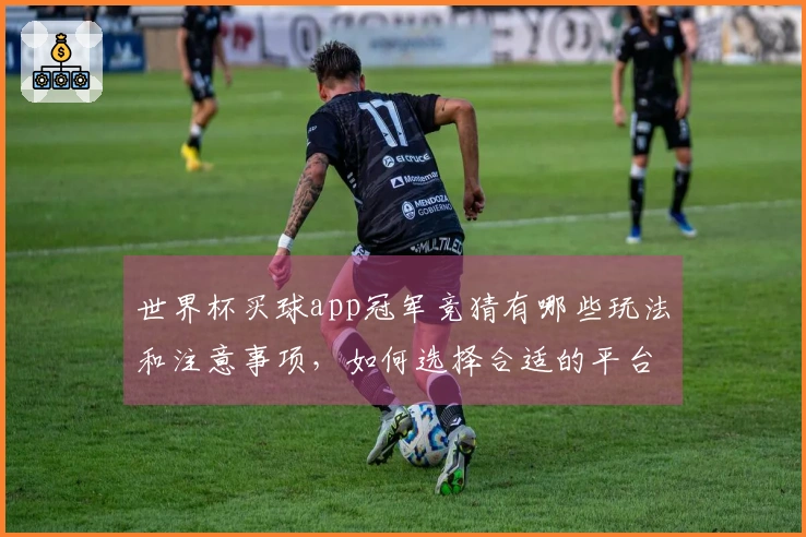 世界杯买球app冠军竞猜有哪些玩法和注意事项，如何选择合适的平台？