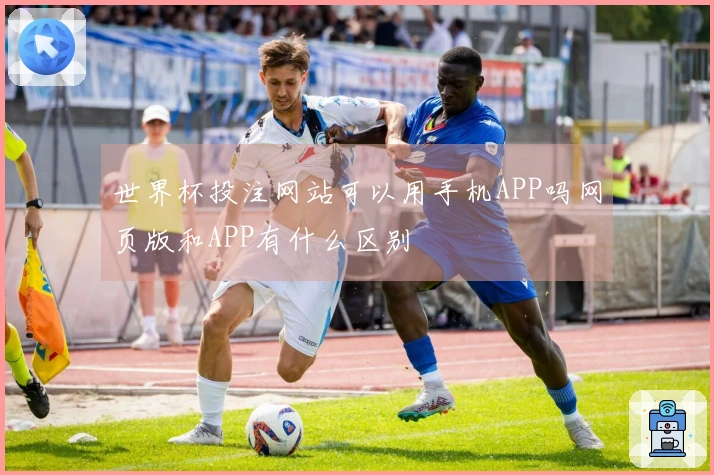 世界杯投注网站可以用手机APP吗网页版和APP有什么区别