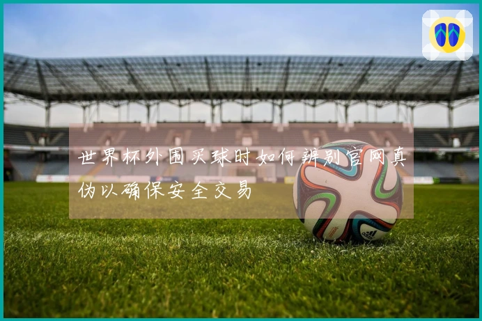 世界杯外围买球时如何辨别官网真伪以确保安全交易