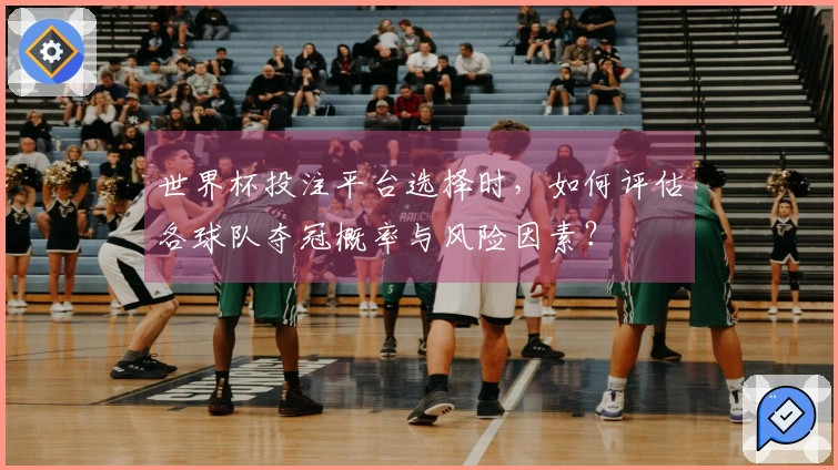 世界杯投注平台选择时，如何评估各球队夺冠概率与风险因素？