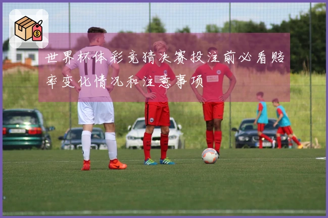 世界杯体彩竞猜决赛投注前必看赔率变化情况和注意事项