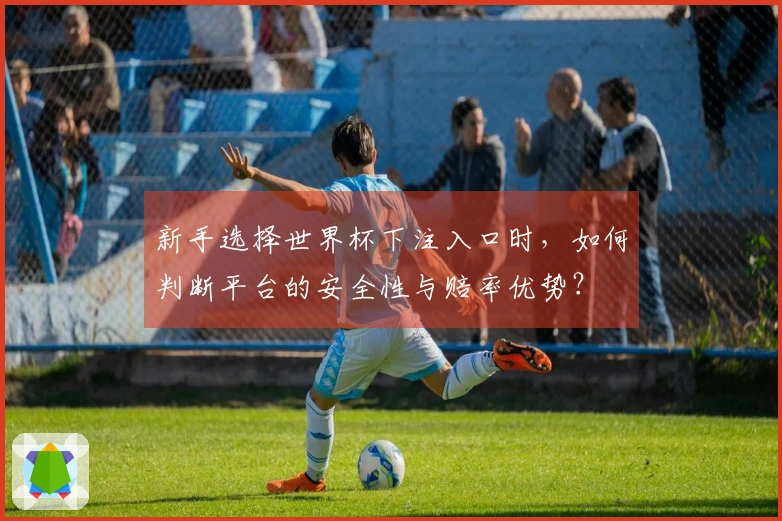 新手选择世界杯下注入口时，如何判断平台的安全性与赔率优势？