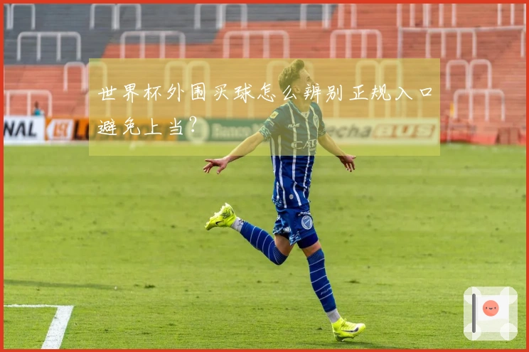 世界杯外围买球怎么辨别正规入口避免上当？
