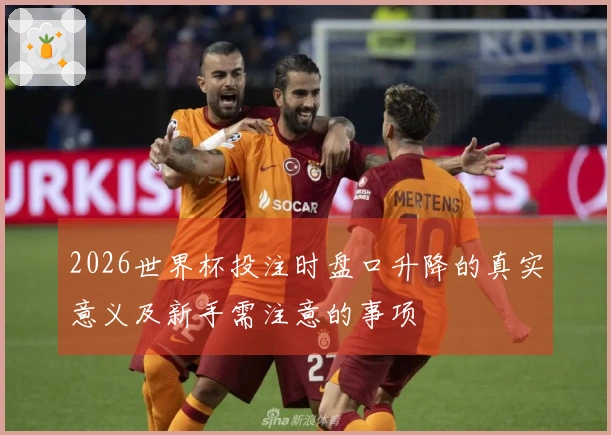 2026世界杯投注时盘口升降的真实意义及新手需注意的事项