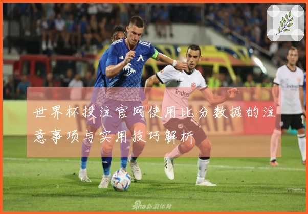 世界杯投注官网使用比分数据的注意事项与实用技巧解析