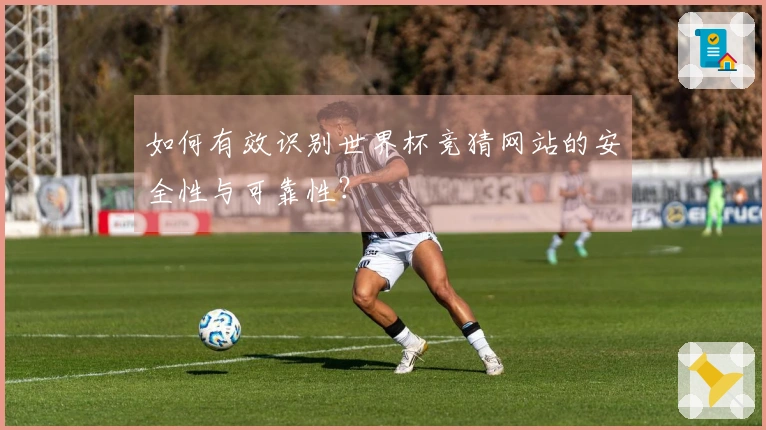 如何有效识别世界杯竞猜网站的安全性与可靠性？