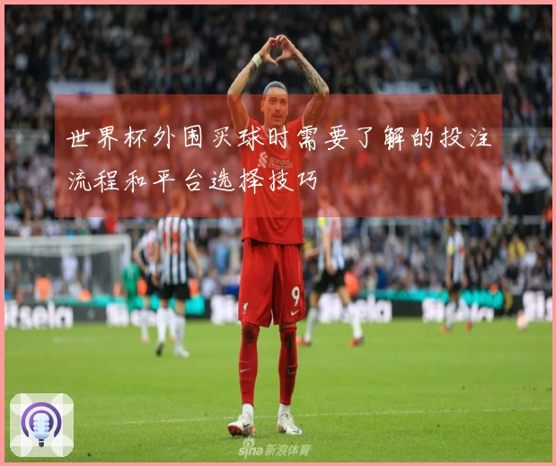 世界杯外围买球时需要了解的投注流程和平台选择技巧