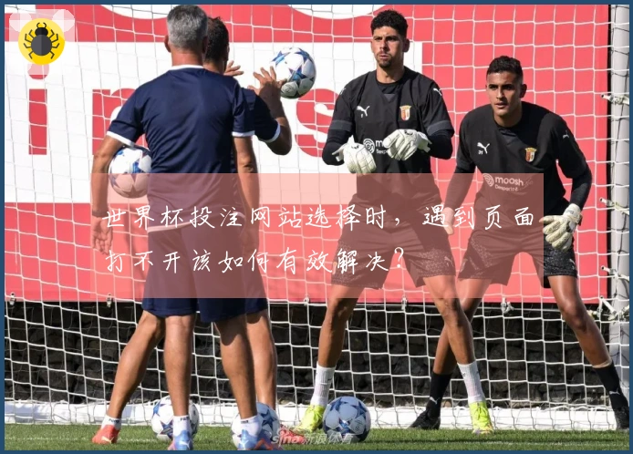 世界杯投注网站选择时，遇到页面打不开该如何有效解决？