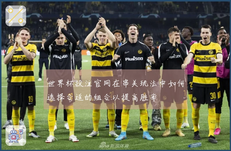 世界杯投注官网在串关玩法中如何选择合适的组合以提高胜率